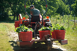 Fruit and Vegetable Farm Agriculture Industry Cleaning Products